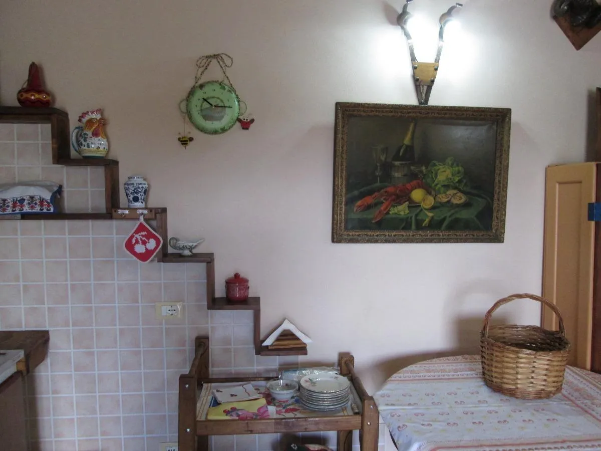 foto n 17.webp
